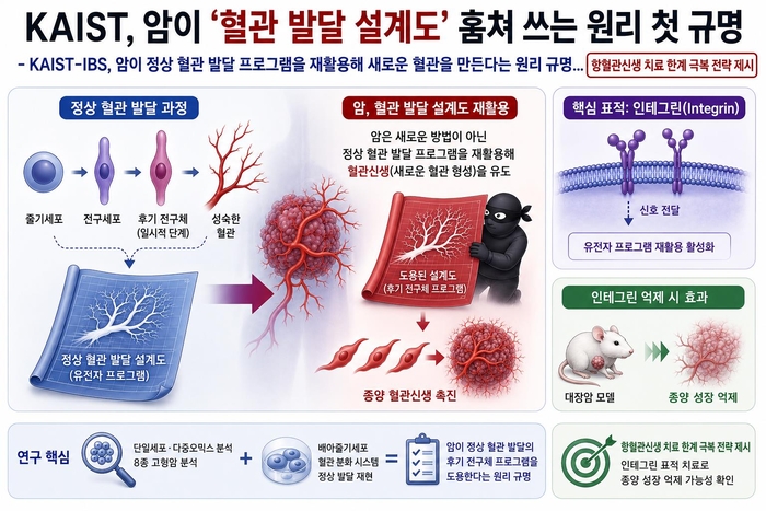암의 혈관 발달 프로그램 재활용 원리 개요 (AI 생성 이미지)