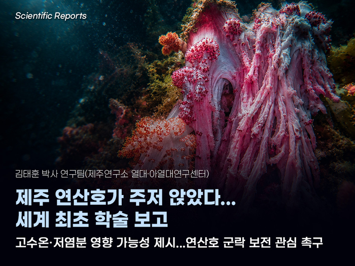 연산호 붕괴 연구 이미지