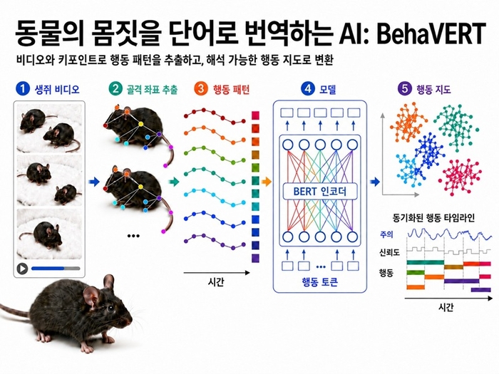 BehaVERT 파이프라인 개요