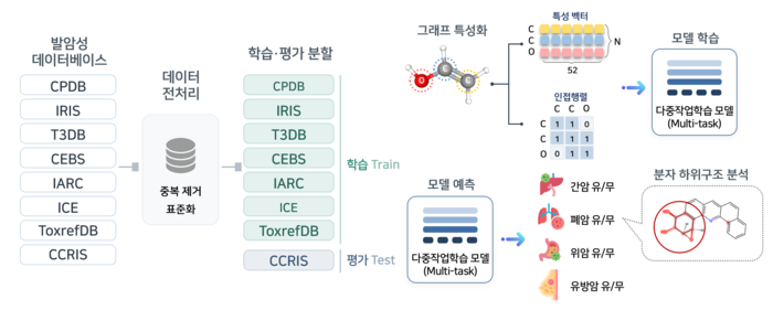 다중작업학습 기반 장기별 발암성 예측 파이프라인. (연구재단 제공)