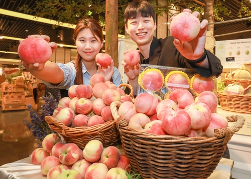현대백화점, 한국판 납작복숭아 '대극천 복숭아' 판매