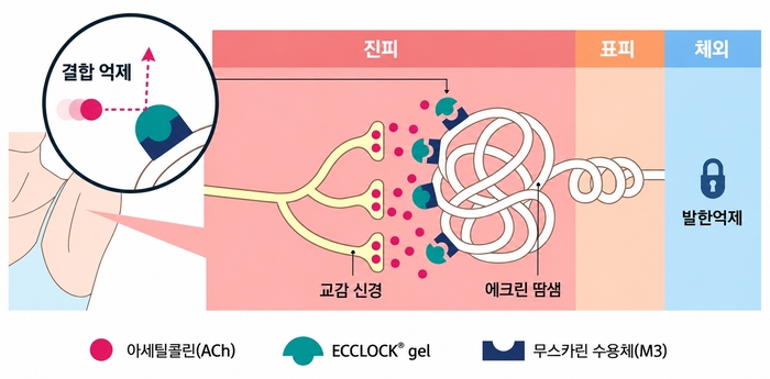 동화약품 에크락겔의 발한 억제 작용기전.