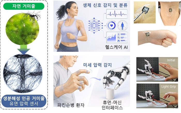 생분해성 소재 기반 다중스케일 인공 거미줄 압력 센서와 작동 원리. 〈사진 서울대 제공〉