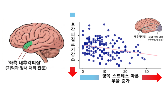 양육스트레스에 따른 우울이 높을수록 뇌구조 (좌측 내후각피질)가 감소한다는 이미지