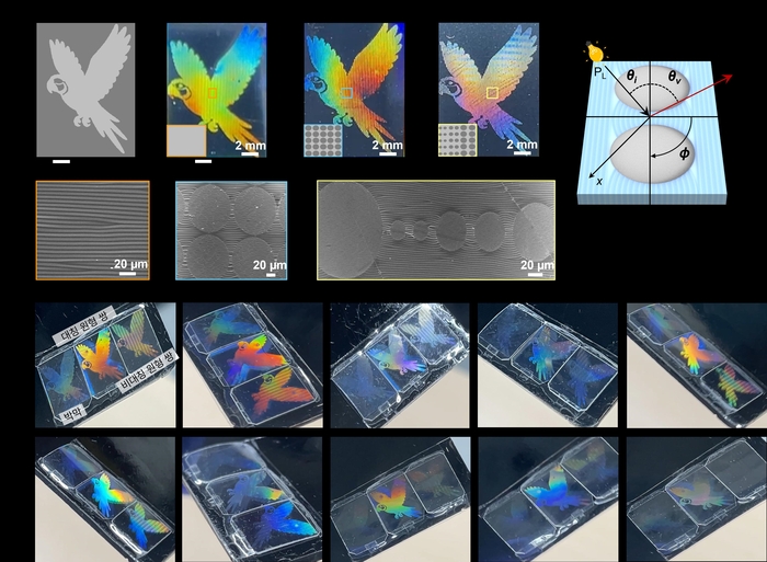 주름 구조별로 다양하게 나타나는 앵무새 보안 이미지의 색 변화