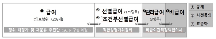 급여 유형간 운영 현황 (자료=건강보험심사평가원)