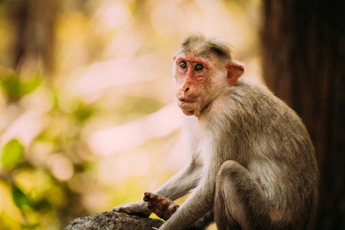 Photo Image