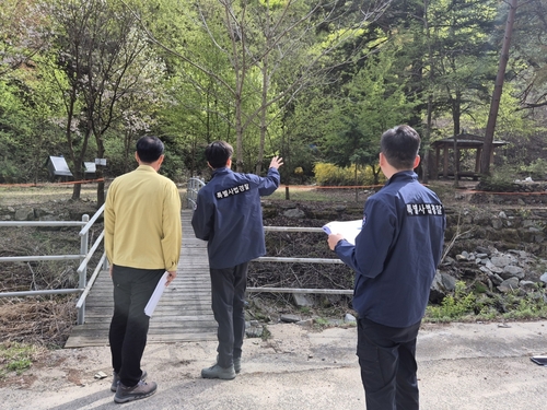 산림청이 무분별한 수목 훼손 및 임산물 불법 채취 행위에 대해 유관기관 합동 수사 및 특별단속을 강화한다.