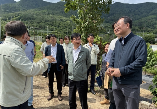 10일 경남 밀양시 사과 농가에서 송춘수 NH농협손해보험 대표(가운데)가 관계자들과 적과후착과수 조사 현장을 점검하고 있다.(사진=농협손해보험)
