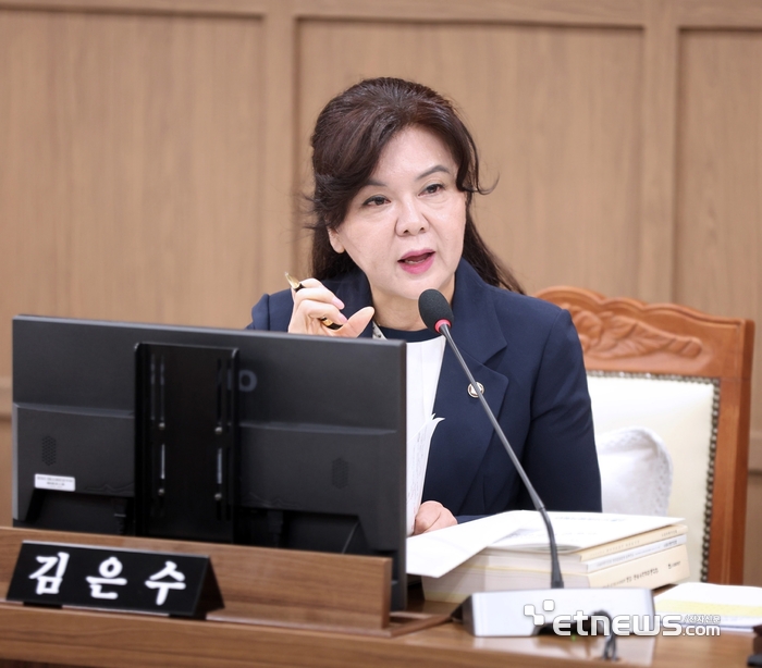 김은수 수원시의원이 14일 제403회 임시회 도시미래위원회 제1차 회의에서 발언을 하고 있다. 수원시의회 제공.