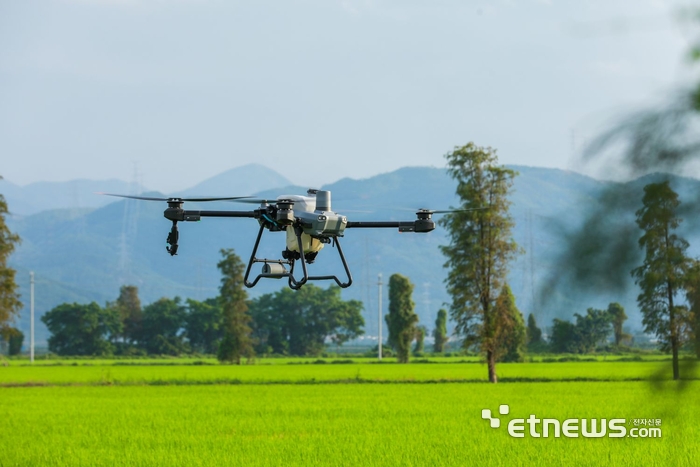 대동의 DJI 농업용 드론 T25가 농업 현장을 비행하고 있다.