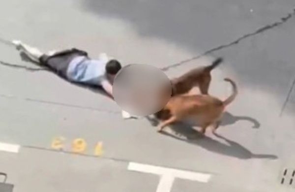 사진=사우스차이나모닝포스트
