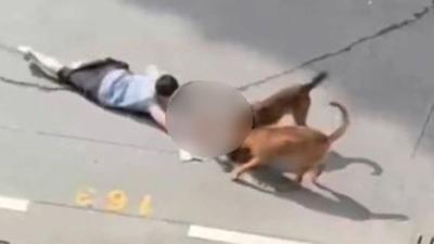 기사 섬네일