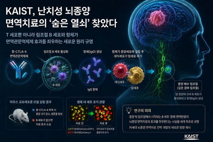 KAIST, 난치성 뇌종양 면역치료 새로운 길 제시