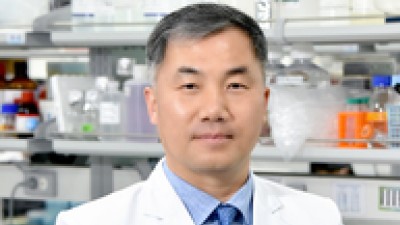오피니언 이미지