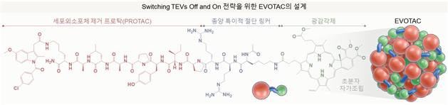 나노스위치 치료제 EVOTAC의 설계 개념도. (심만규 박사)