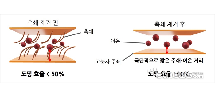 고분자 반도체의 측쇄 존재 유무에 따른 주쇄-이온 거리 및 도핑 효율 차이 모식도