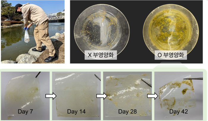 KAIST 내 연못 시료로 제작한 미니 생태계 및 부영양 조건 아래 플라스틱 표면 위 형성된 미생물 막