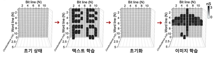 새로 제작된 11×11 크로스바 어레이 소자를 이용한 데이터 학습 및 초기화 시연 결과.