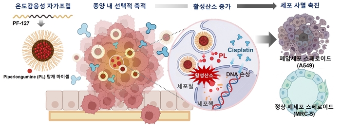 폐암 선택적 치료를 위한 고분자 나노약물전달체의 작동 원리.