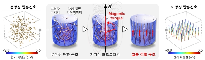 자기장을 이용한 자성-압전 복합 소재의 방향성 제어.