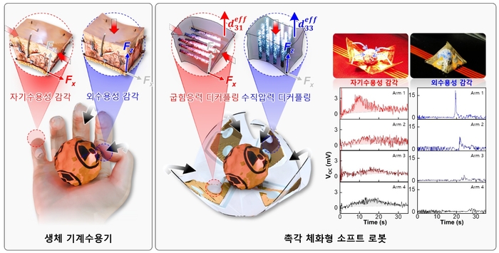 '촉각 체화형 소프트 로봇'의 작동 원리.