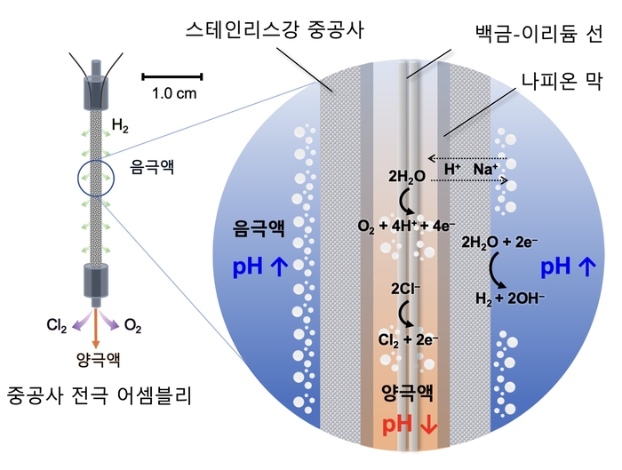HFEA 전기화학 반응 모식도