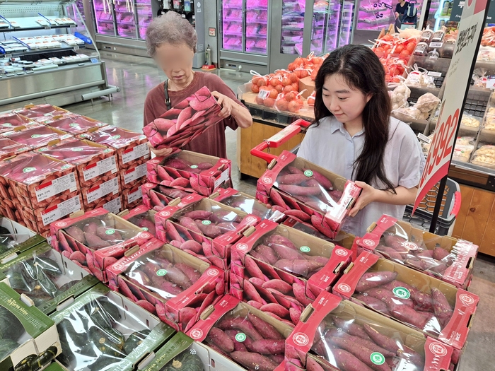지난 3일 서울시 송파구에 위치한 롯데마트 제타플렉스 잠실점 고구마 매대에서 '햇고구마'를 구매하는 고객들의 모습. 〈자료 롯데마트〉