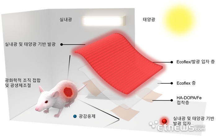 실내등과 햇빛으로 활성화된 신축성 발광 패치가 적색광을 방출해 상처 접합과 조직 재생을 촉진하는 모식도
