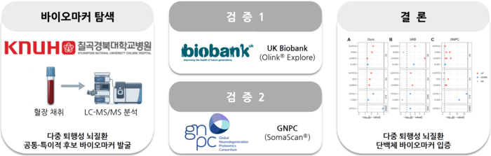 다중 퇴행성 뇌질환 혈장 단백체 분석을 통한 병리 시그니처 규명 및 이종 플랫폼 검증 이미지