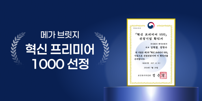 메가브릿지