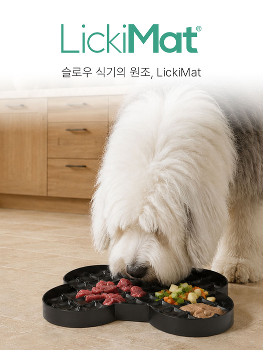 [마이펫페어] 코지테일즈, 글로벌 프리미엄 펫 브랜드 선보인다