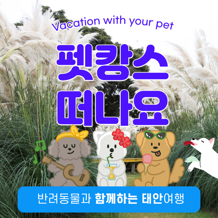 [마이펫페어] 로망스투어, 전용 버스·중식 포함 펫투어 패키지 선보인다