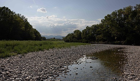 Photo Image
