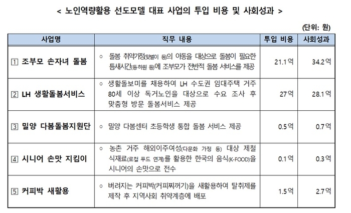 노인역량활용 선도모델 대표 사업의 투입 비용 및 사회성과 (자료=보건복지부)