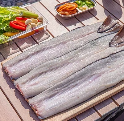 국산 자포니카 민물장어. 〈자료 11번가〉