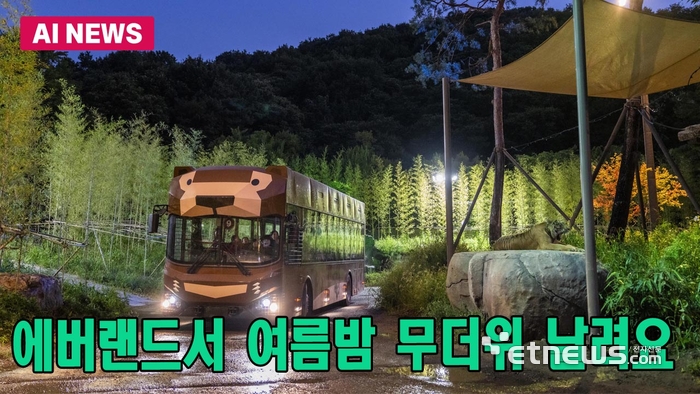 에버랜드, 야간 특화 콘텐츠 인기