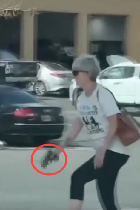 절도 용의자를 향해 총을 겨눈 노년의 여성이 미국 소셜미디어에서 화제를 모으고 있다. 사진=엑스(@mattvanswol) 캡처
