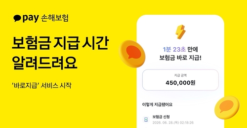 이미지=카카오페이손해보험