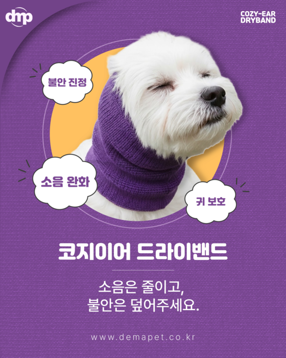 [마이펫페어] 디마펫, 목욕 후 드라이 스트레스 줄이는 '코지이어 드라이밴드'