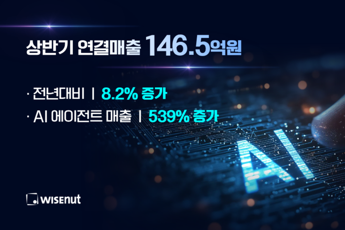 와이즈넛, 상반기 연결 매출 146.5억원…전년 比 8.2% 증가