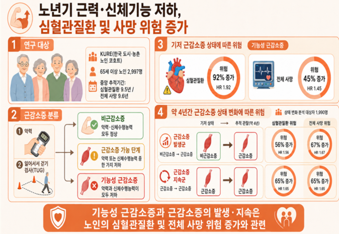 노년기 근감소증 연구 개요 및 주요 결과(제공=질병관리청)