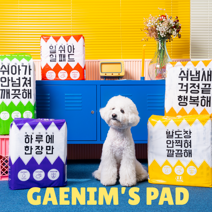 [마이펫페어] 개님의상점, 일상 속 반려견 루틴 설계하는 기능성 제품 '개님의껌' 주목