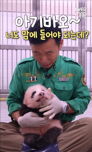 에버랜드 '아기 판다' 이름 투표, 엿새 만에 10만명 돌파
