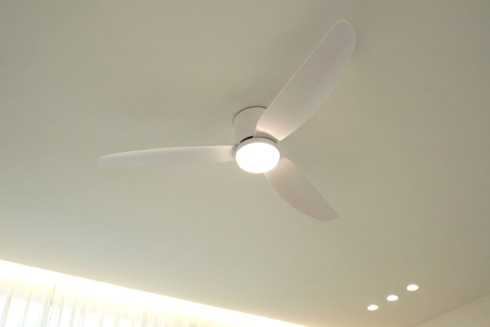Photo Image