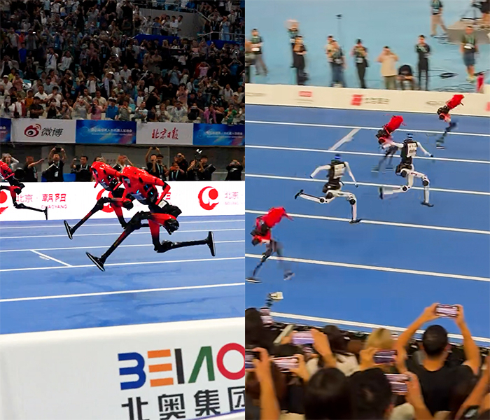 출처=샤오홍슈(292838474, 1809806431)