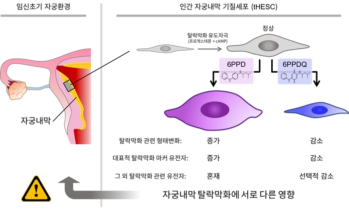Photo Image