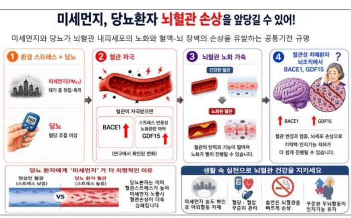 초미세먼지 들이마신 당뇨 환자, 뇌혈관 노화·손상 더 빠르다