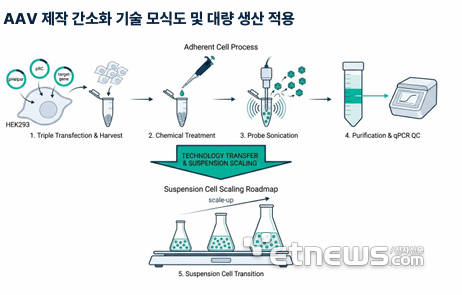 AAV 제작 간소화 기술 모식도