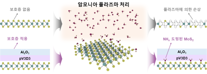 초박막 보호층을 이용한 손상 없는 2차원 반도체 플라즈마 도핑. (최성율 교수 연구팀)